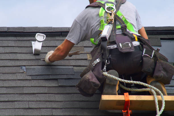 Best Metal Roofing Contractor  in Harlem, FL