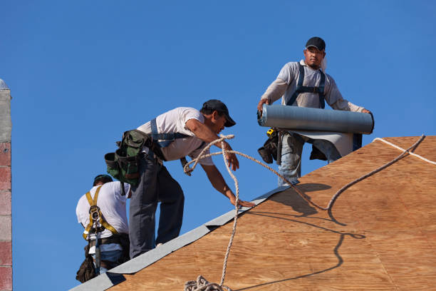 Quick and Trustworthy Emergency Roof Repair Services in Harlem, FL